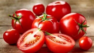 خواص بی‌نظیر آب گوجه فرنگی برای سلامتی