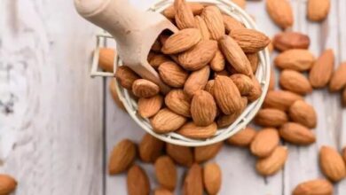 دنبال کالری‌سوزی هستید؟/ این مغز آجیلی به کارتان می‌آید