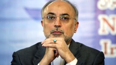 سعدی نماینده خرد و سخن ایران است