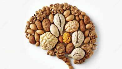 غذاهای فوق‌العاده برای ذهنی تیز و خلاق/ سوپرفودها؛ راز تقویت حافظه