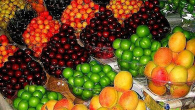مصرف این ویوه سبب کاهش کلسترول می‌شود