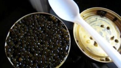 شگفتی‌های مالیاتی: آیا کرم خاویار ارزش سرمایه‌گذاری را دارد؟