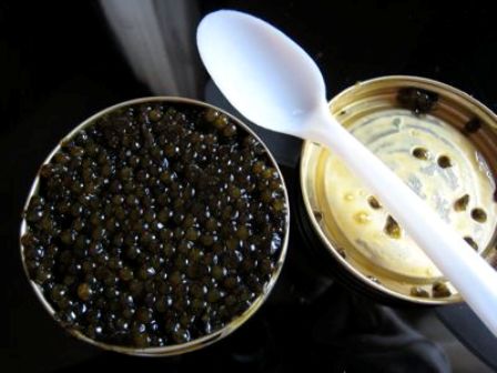 شگفتی‌های مالیاتی: آیا کرم خاویار ارزش سرمایه‌گذاری را دارد؟