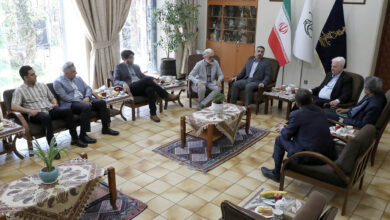 بررسی گسترش همکاری مشترک سینمایی ایران و کرواسی