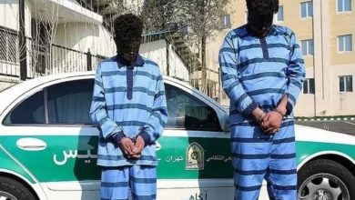 دیوان عالی حکم اعدام قاتل دانشجوی دانشگاه تهران را نهایی کرد