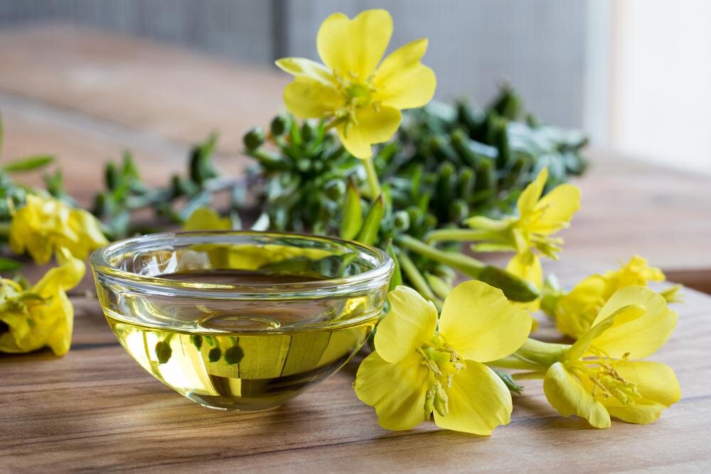 روغن گل مغربی چه فایده‌ای دارد؟