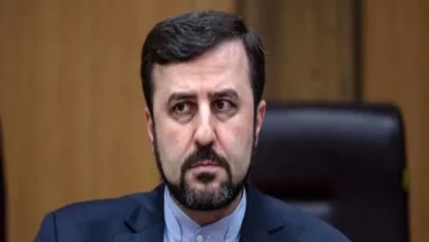 غریب آبادی: غنی سازی خط قرمز قطعی ماست! / توقفی هم در غنی سازی پذیرفته نمی‌شود