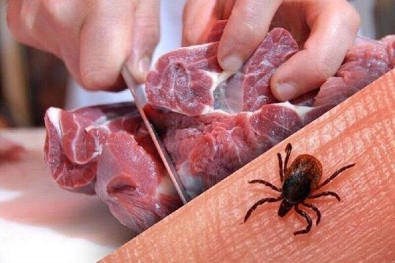 فوت بیمار مبتلا به تب خونریزی دهنده کریمه کنگو در این شهر