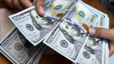 قیمت دلار امروز ۲۰ اردیبهشت 1404 / دلار روی مرز کانال ۸۳ هزار تومانی سرگردان شد