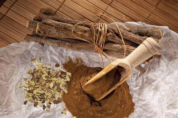 گیاهی تلخ با خواصی شیرین/ از ویتامین‌های B۱، B۲، B۳، B۵ تا ویتامین E