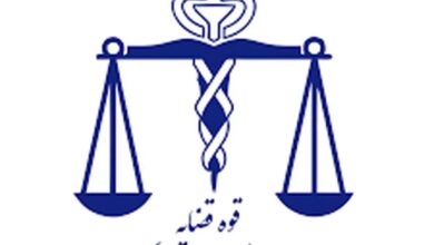 اطلاعیه پزشکی قانونی درباره پرونده قتل الهه حسین‌نژاد