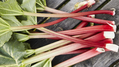 این خوراکی ترش، قلب و کبدتان را نجات می‌دهد