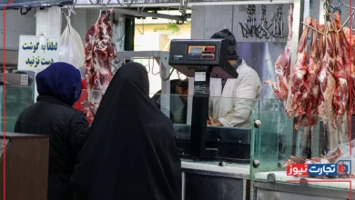ثبات قیمت در بازار کالاهای اساسی/ گوشت و لبنیات به اندازه کافی در بازار عرضه میشوند