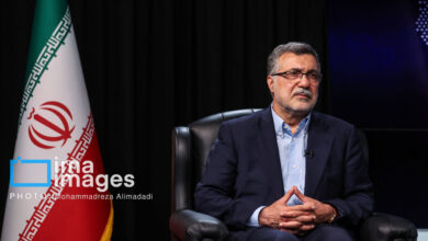 ظفرقندی: بیشتر مجروحان و شهدای ایران زنان و کودکان هستند