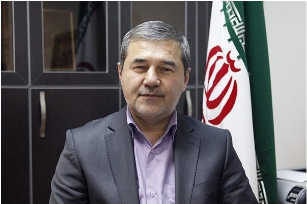 نتوانسته‌ایم نقدِ بومی بسازیم