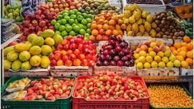 قیمت میوه