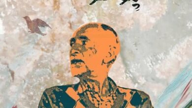 «پنوسر» بهترین مستند فستیوال مجارستان شد