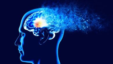 چرا برخی از افراد در میانسالی به زوال عقل مبتلا می‌شوند؟