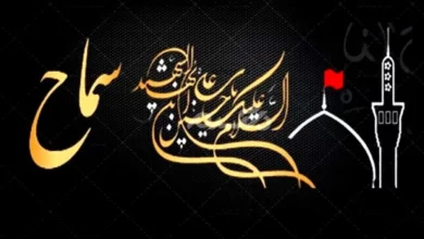 آغاز فروش بلیت پرواز اربعین در حالی‌که سماح راه‌اندازی نشده است