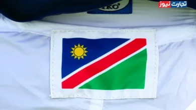 از گویان تا نامیبیا؛ جست‌وجوی گنج در دل اقیانوس اطلس!