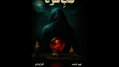 بخش نخست بازیگران «شب سرد» معرفی شدند