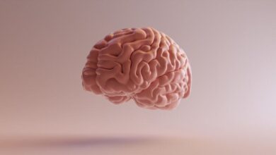 تضمین سلامت مغز با مصرف این ویتامین‌ها