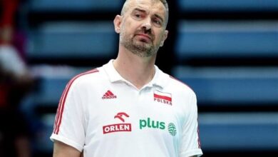 نیکولا گربیچ