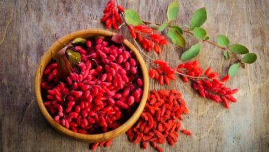 گنجینه‌ای سرخ با خواص شگفت‌انگیز
