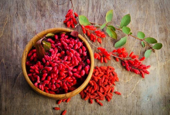 گنجینه‌ای سرخ با خواص شگفت‌انگیز