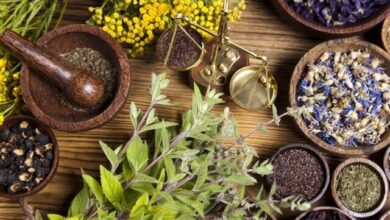 ۳ گیاه آرام‌بخش معده را بشناسید