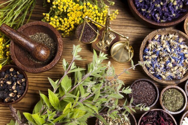 ۳ گیاه آرام‌بخش معده را بشناسید