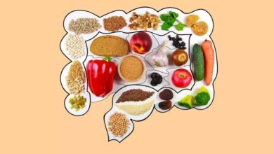 تأثیر رژیم غذایی پرچرب بر سلامت سیستم ایمنی روده