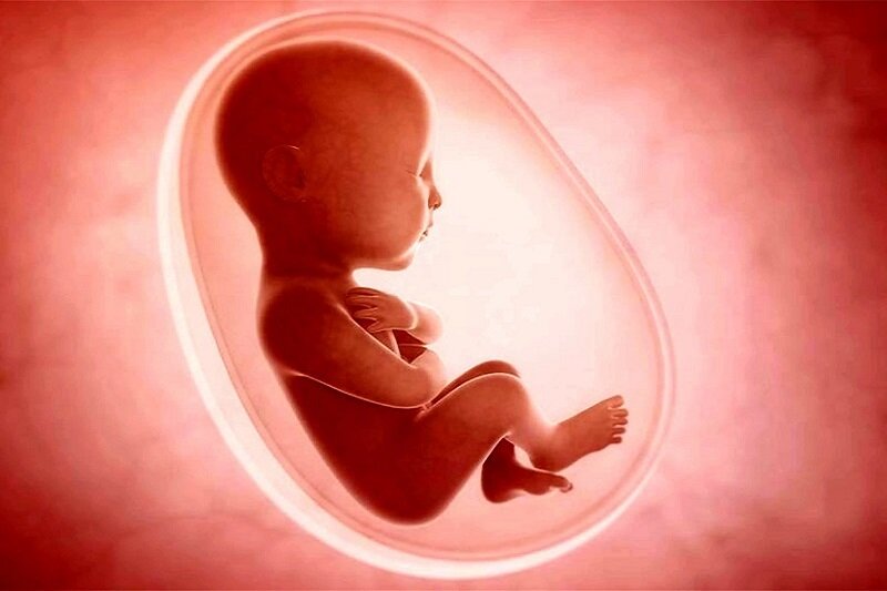 سامانه ثبت سقط‌ جنین‌ راه‌اندازی شد