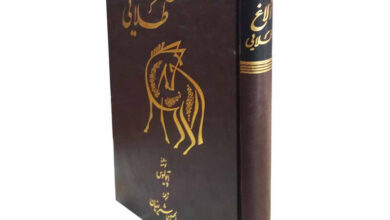 سختی های زندگی الاغی که شعور آدمیزاد را دارد!