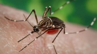 شیوع یک تب ویروسی در ۱۶ کشور