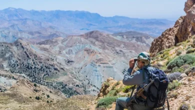 مرگ محیط‌بان، مرگ یک فرد نیست؛ مرگ وجدان اجتماعی است