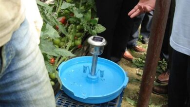 تله نوری هوشمند؛ سپر گیاهان شما