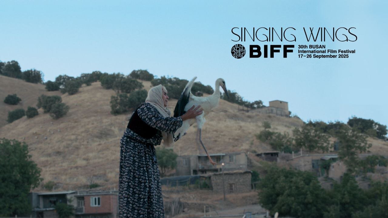 «بال‌های آوازخوان» در بخش مسابقه جشنواره بوسان