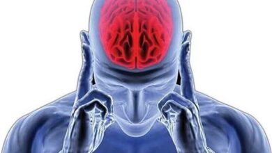 بهترین راهکارها برای جوان نگه داشتن مغز