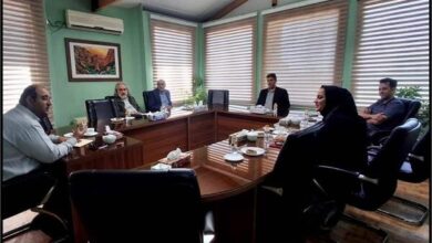 حاصل همکاری معاونت امور هنری ارشاد و بنیاد ملی پویانمایی چه میشود؟