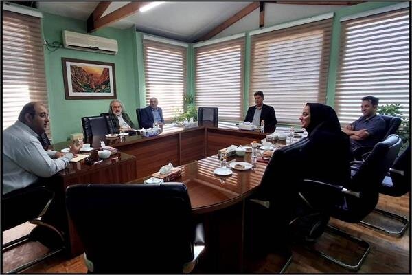 حاصل همکاری معاونت امور هنری ارشاد و بنیاد ملی پویانمایی چه میشود؟