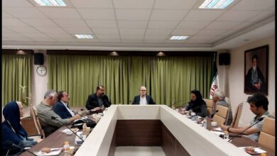 دیدار سرپرست معاونت امور هنری با آیینی- سنتی‌ها