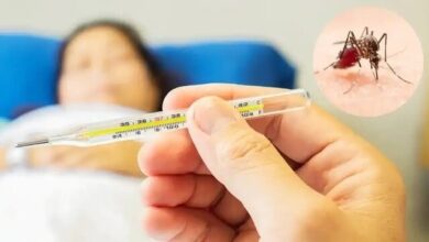 شناسایی ۴۳۴ بیمار مبتلا به تب دنگی در کشور/بیشترین موارد ابتلا در این شهر