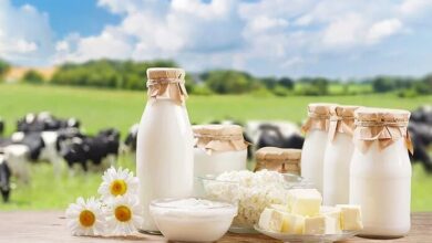 شیر چاق‌ می‌کند یا لاغر؟