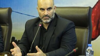 معاون فرهنگی و اجتماعی شهردار تهران:  فقدان تجربه برخی مسئولین جدید در معاونت هنری وزارت ارشاد موجب لغو کنسرت همایون شجریان شد