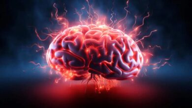 نگذارید مغزتان داغ شود