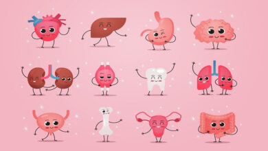 هر اندام دوستدار چه ورزشی است؟/ بررسی علمی تأثیر ورزش بر اندامهای حیاتی؛ از پیادهروی تا خنده و مدیتیشن