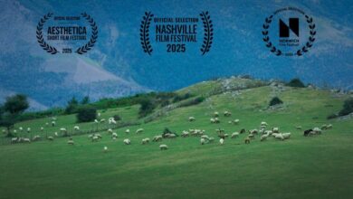 گوسفند ایرانی به آمریکا و انگلیس فرستاده می‌شود  