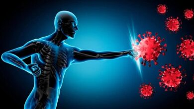 ۴ خوراکی جادویی برای تقویت سیستم ایمنی بدن