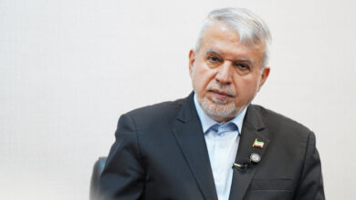 دفاع عجیب صالحی امیری از ثبت مولانا به نام سه کشور